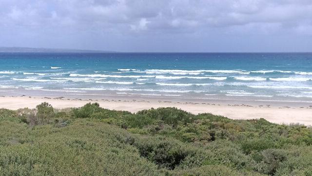 Proposed Marinus Link shore crossing site at Waratah Bay, Victoria